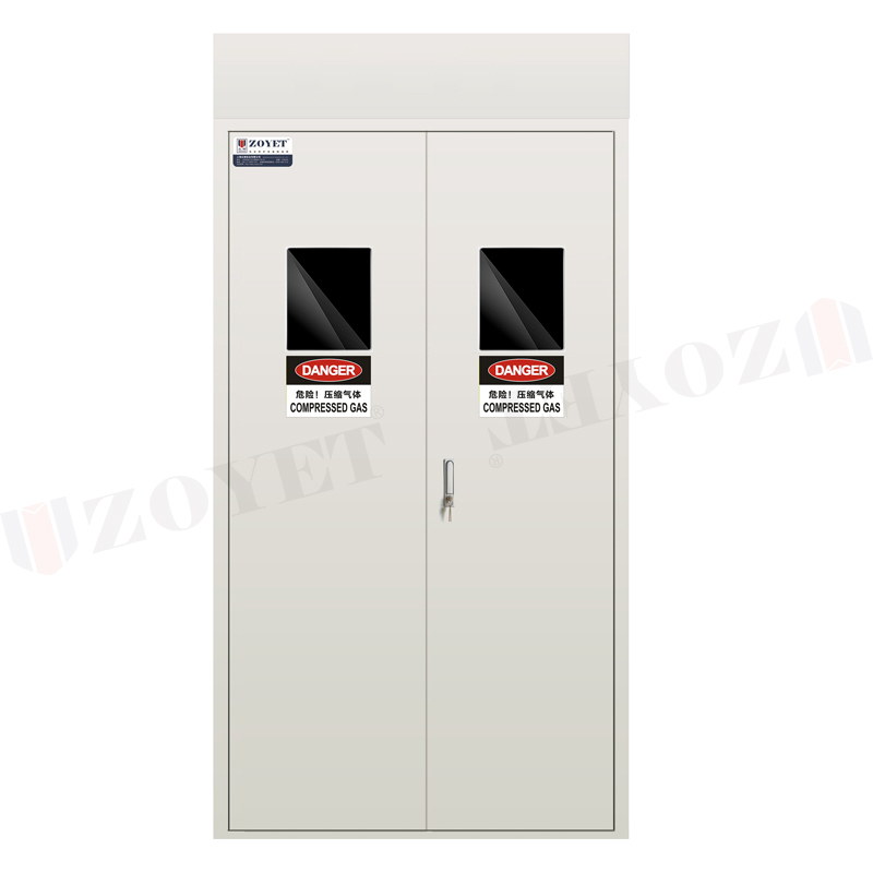 雙瓶全鋼氣瓶柜